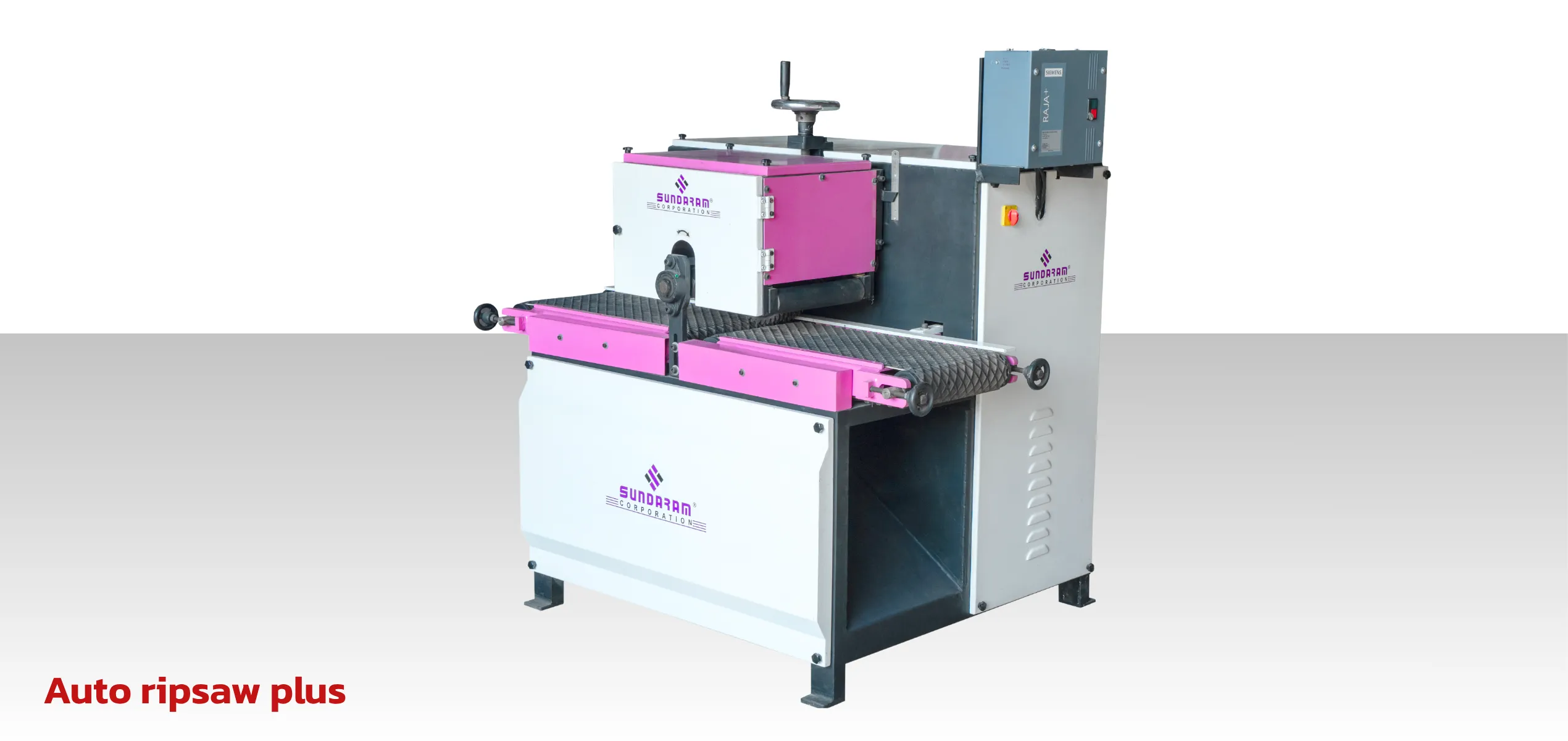 Multi Blade Ripsaw