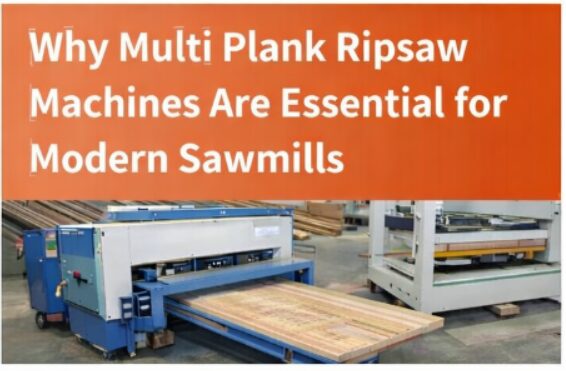 Screenshot 2025 12 22 122315